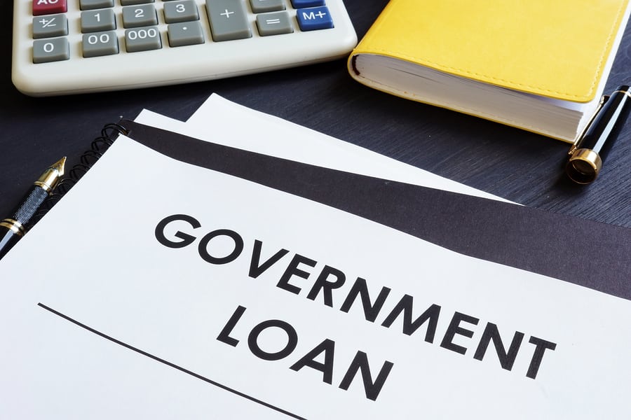 Government Loans