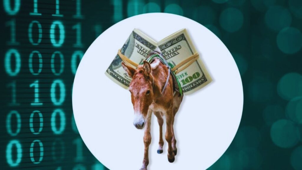 MONEY MULE SCAM, CBI, RBI, MULE ACCOUNT, CYBER FRAUD