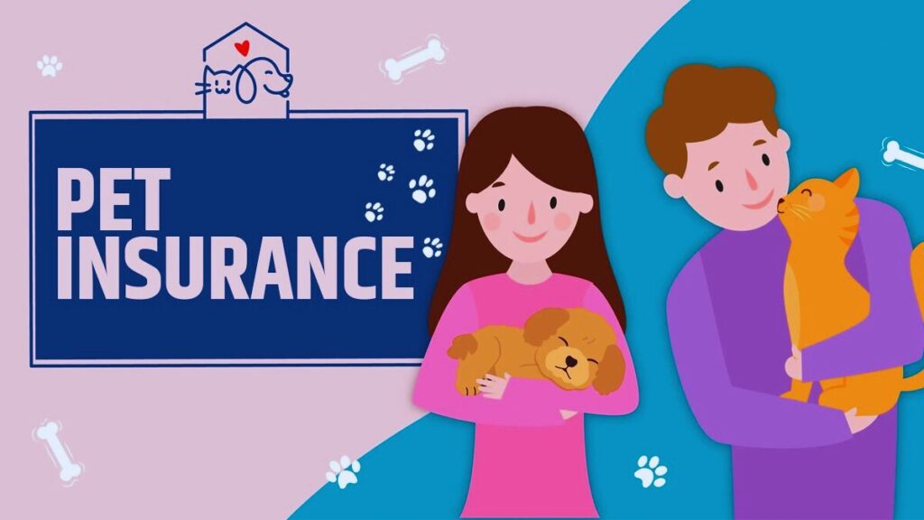 INSURANCE, PET, COVERAGE, ILLNESS, ACCIDENT, PREMIUM, BAJAJ ALLIANZ, HDFC ERGO