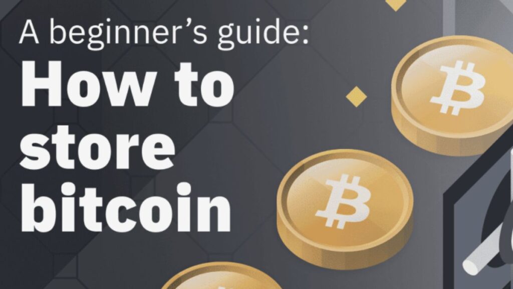 DeFi, Cryptocurrency, Bitcoin, Hot, Digital Wallet, Cold, Storage